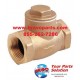 Check Valve 13453