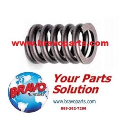 25649-8 Forenta Valve Spring Buck Steam Compression Parts